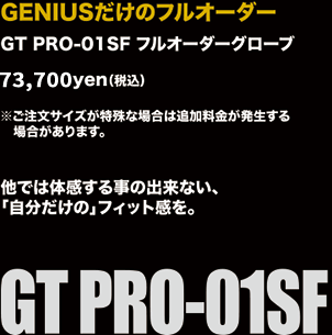 gtpro01sfcopy.gif