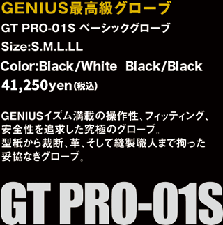 gtpro01scopyset.gif