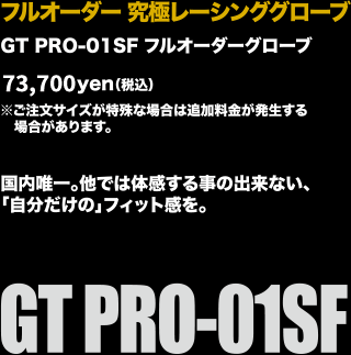gtpro01sfcopyset2.gif