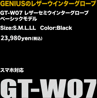 gtpro01sfcopy.gif
